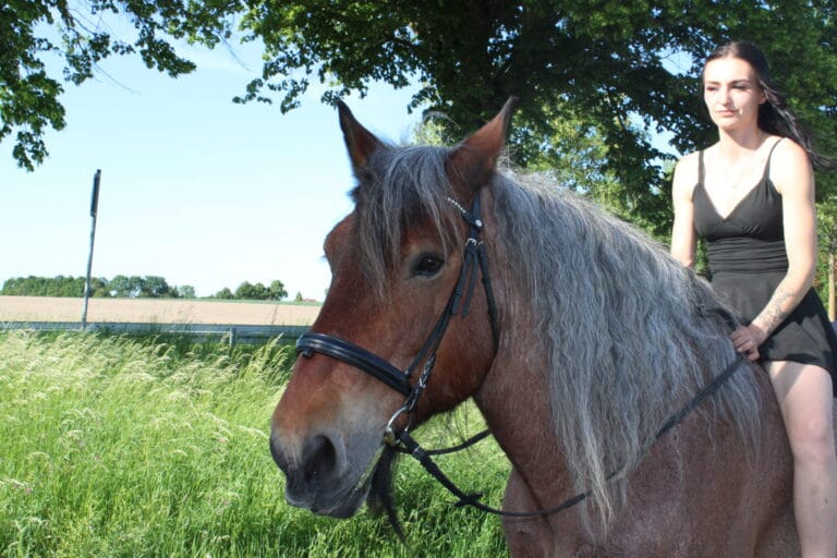 Leo, unser Belgisches Kaltblut, mit meiner Tochter Aileen auf einer Wiese